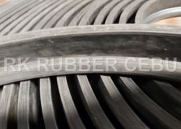 RK Cebu - P-Type Rubber Seal (28)