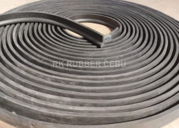 RK Cebu - P-type rubber seal (3)